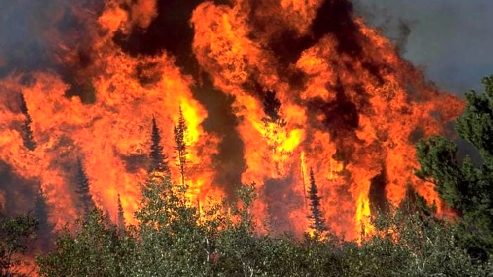 APPLICAZIONE DELLE MISURE DI PREVENZIONE RISCHIO INCENDI BOSCHIVI IN VISTA DEL PERIODO DI MASSIMA PERICOLASITA' PER GLI INCENDI BOSCHIVI